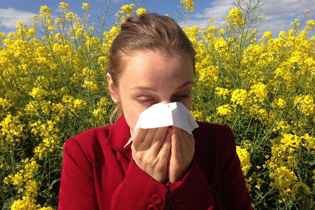 kontaktne sosovky a alergie
